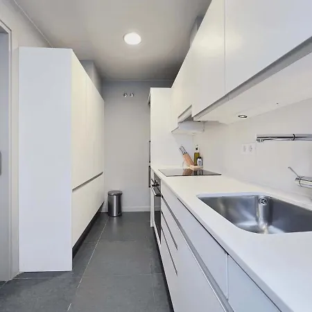 Spring Nebula Varna